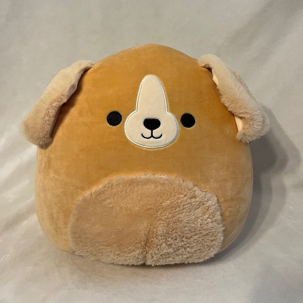 12" "Stevon" – dog